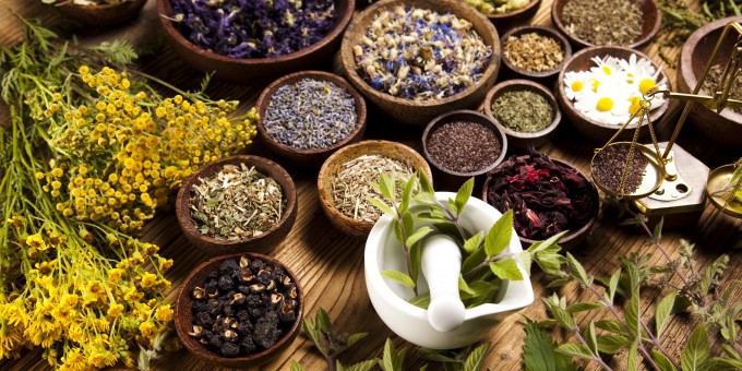 herbal medicine photo